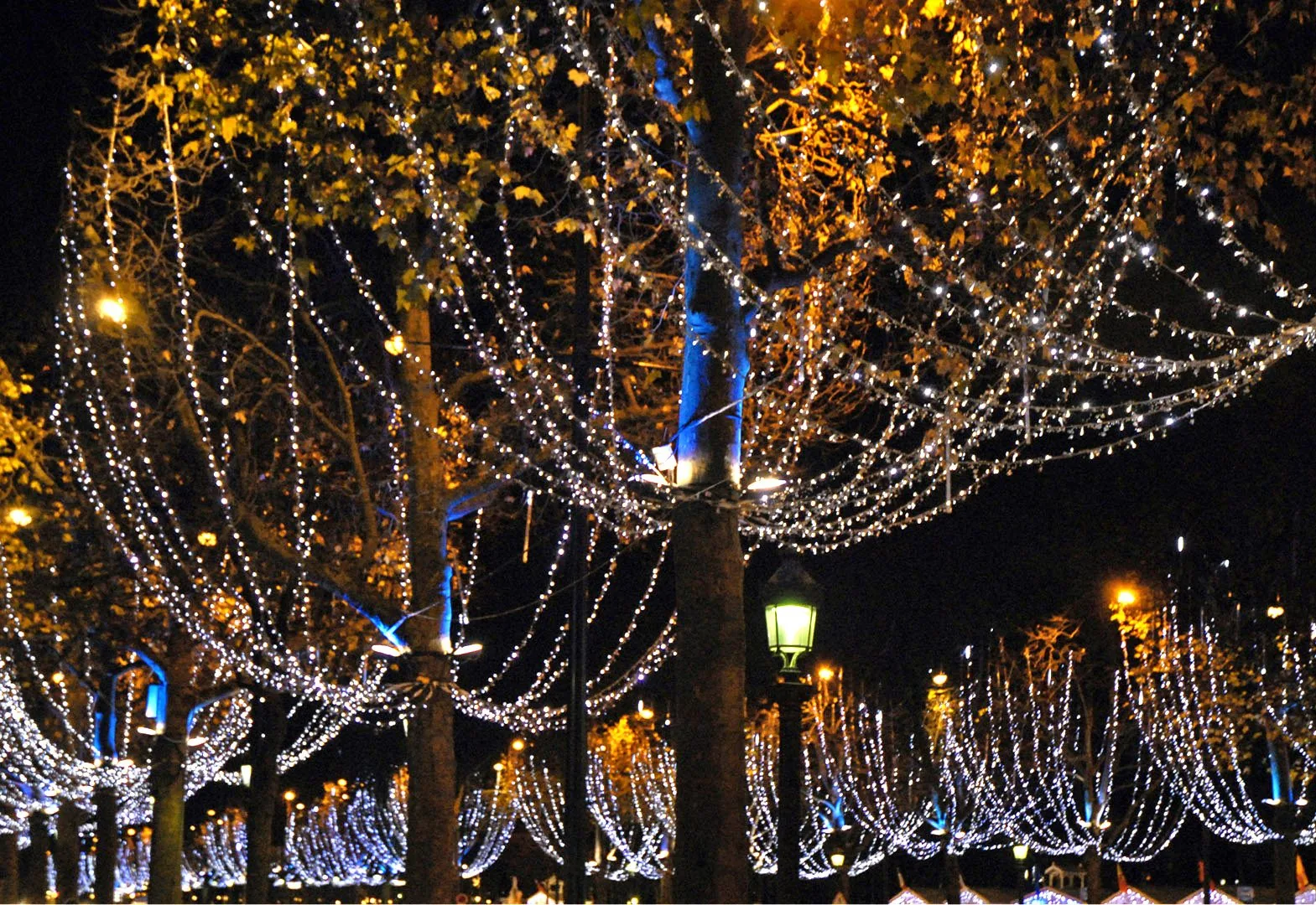 Alberi degli Champs-Élysées avvolti da migliaia di luci natalizie bianche nella notte, con i lampioni accesi