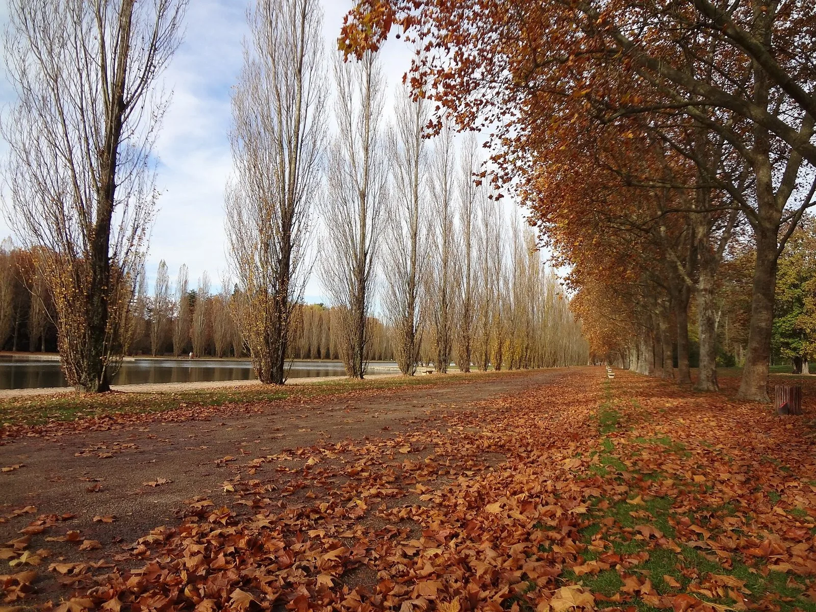Viale alberato del Parc de Sceaux in autunno, coperto di foglie rosse e arancioni accanto al canale e a una fila di pioppi